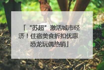 “苏超”激活城市经济！住宿美食折扣优惠 恐龙玩偶热销